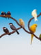 Пластиковая жердочка в клетку для канареек, попугаев и экзотических птиц Ferplast Flex | 6610318 | фото 2
