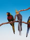 Пластиковая жердочка в клетку для канареек, попугаев и экзотических птиц Ferplast Flex Ø 1,6 cm - FLEX 4192 | 6610319 | фото 2