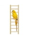 Деревянная лесенка для попугаев и экзотических птиц Ferplast PA 4006 | 6610320 | фото 2
