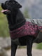 Куртка для собак BlackDoggy VC14-JK023 | 6610506 | фото 3