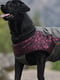 Куртка для собак BlackDoggy VC14-JK023 L, Бордовий | 6610509 | фото 3