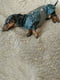Куртка для собак BlackDoggy VC14-JK023 2XL, Синій | 6610515 | фото 6