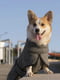 Куртка для собак BlackDoggy VC19-JK008 | 6610531 | фото 2