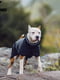 Куртка для собак BlackDoggy VC19-JK008 L, Чорний | 6610535 | фото 4