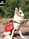 Рюкзак для собак BlackDoggy VC-BP12003 L | 6610539 | фото 6