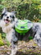 Рюкзак для собак BlackDoggy VC-BP12006 M, Зелений | 6610541 | фото 4