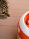 Игрушка - карусель для котов Ferplast Tornado | 6610763 | фото 4
