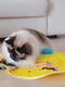 Електронна іграшка килимок з кулькою для котів Ferplast Predator | 6610767 | фото 7