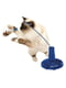 Електронна іграшка карусель з пір'ям для котів Ferplast Raptor | 6610770 | фото 4