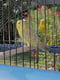 Клітина для канарок, папуг та маленьких птахів Ferplast Palladio 33 х 59 х 69 см - 4 | 6611110 | фото 5