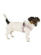Нагрудна шлейка для собак зі шкірозамінника з еластичним шнурком Ferplast Agila 3 Рожевий | 6611230 | фото 3