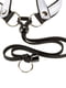 Нагрудна шлейка для собак із нейлону з еластичним шнурком Ferplast Agila Colours 2-3 | 6611232 | фото 4