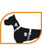 Нагрудна шлейка для собак з нейлону з еластичним шнурком Ferplast Agila Colours 2-3 A = B 32 ÷ 50 см 20 мм - max 6 кг - 2 розмір, Помаранчевий | 6611234 | фото 4