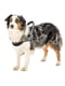Нейлонова шлейка норвезького типу для собак Ferplast Ergocomfort Nordic А: 58 см В: 67-82 см - 2 розмір | 6611251 | фото 3