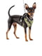Тренувальна нагрудна шлейка для собак з нейлону Ferplast Nikita P Fashion A: 24 ÷ 31 см - B: 30 ÷ 41 см 15 мм - S, Фіолетовий | 6611259 | фото 3