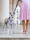 Тренировочная нагрудная шлейка для собак из нейлона Ferplast Nikita P Fashion A: 30 ÷ 43 см - B: 38 ÷ 55 см 15 мм - M, Фиолетовый | 6611262 | фото 3