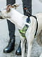 Тренировочная нагрудная шлейка для собак из нейлона Ferplast Nikita P Fashion A: 30 ÷ 43 см - B: 38 ÷ 55 см 15 мм - M, Серо-синий | 6611263 | фото 6