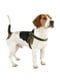 Мягкая нагрудная шлейка для собак с эластичным шнурком Ferplast Agila Fluo 2 | 6611289 | фото 5