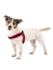 М'яка нагрудна шлейка для собак з мікрорегулюванням Ferplast Agila Fluo 3-9 A = B 44 ÷ 52 см 20 мм - max 8 кг - 4 розмір, Рожевий | 6611297 | фото 3