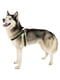 М'яка нагрудна шлейка для собак з мікрорегулюванням Ferplast Agila Fluo 3-9 A = B 50 ÷ 58 см 20 мм - max 10 кг - 5 розмір, Жовтий | 6611302 | фото 7