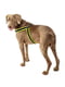 М'яка нагрудна шлейка для собак з мікрорегулюванням Ferplast Agila Fluo 3-9 A = B 57 ÷ 65 см 25 мм - max 15 кг - 6 розмір, Жовтий | 6611306 | фото 7