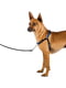 Дрессировочная нагрудная шлейка для собак с передней системой крепления Ferplast Coach | 6611354 | фото 3