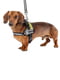 Нагрудная светоотражающая шлейка для собак из высокопрочного нейлона Ferplast Hercules Р XS - A: 29 ÷ 36 см - B: 42 ÷ 52 см 20 мм, Военный | 6611383 | фото 5