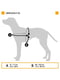 Нагрудная светоотражающая шлейка для собак из высокопрочного нейлона Ferplast Hercules Р XL - A: 57 ÷ 71 см - B: 80 ÷ 102 см 40 мм, Черный | 6611397 | фото 2