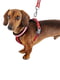 Светоотражающая шлейка для собак с магнитной застежкой Ferplast Daytona Р Cross | 6611404 | фото 3