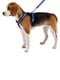 Светоотражающая шлейка для собак с магнитной застежкой Ferplast Daytona Р Cross SM - B: 54 ÷ 70 см 20 мм, Синий | 6611412 | фото 4