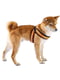 Мягкая нагрудная шлейка для собак с микрорегулировкой Ferplast Agila Reflex 5-9 7 размер - A = B 63 ÷ 71 см 20 мм - max 22 кг, Черный | 6611436 | фото 7