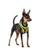 Нагрудна світловідбивна шлейка для собак з нейлону дихаючого Ferplast Kaori P XS - A: 28 ÷ 30 см - B: 32 ÷ 36 см, Жовтий | 6611473 | фото 3