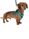 Нагрудна світловідбивна шлейка для собак з нейлону дихаючого Ferplast Kaori PM - A: 32 ÷ 34 см - B: 44 ÷ 48 см, Синій | 6611478 | фото 3