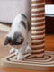 Підлогова кігтеточка стовпчик з іграшками для кішок Ferplast PA 4001 | 6611565 | фото 3