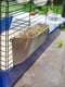 Велика клітка для кроликів та морських свинок Ferplast Rabbit 120 | 6611588 | фото 6
