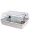 Клітина з дахом для хом'яків і гризунів Ferplast Mini Duna Hamster Білий | 6611601