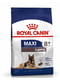 Royal Canin Maxi Ageing 8+ сухой корм для собак крупных пород от 8 лет | 6611613