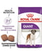 Royal Canin Giant Adult сухий корм для дорослих собак гігантських порід | 6611614 | фото 2