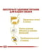 Royal Canin Maltese Adult сухий корм для собак мальтійська болонка від 10 місяців | 6611616 | фото 3