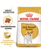 Royal Canin Jack Russel Adult корм для собак джек-рассел-терьер от 10 месяцев | 6611618 | фото 2