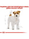 Royal Canin Jack Russel Adult корм для собак джек-рассел-терьер от 10 месяцев | 6611618 | фото 3