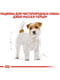Royal Canin Jack Russel Adult корм для собак джек-рассел-терьер от 10 месяцев 1.5 кг. | 6611619 | фото 3