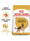 Royal Canin German Shepherd Adult сухий корм для дорослої німецької вівчарки | 6611633 | фото 2