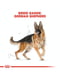 Royal Canin German Shepherd Adult сухой корм для взрослой немецкой овчарки | 6611633 | фото 3