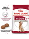 Royal Canin Medium Adult 7+ сухой корм для собак средних пород от 7 лет 4 кг. | 6611636 | фото 2