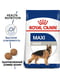 Royal Canin Maxi Adult сухой корм для взрослых собак крупных пород | 6611637 | фото 2