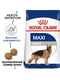 Royal Canin Maxi Adult сухий корм для дорослих собак великих порід 4 кг. | 6611638 | фото 2