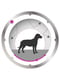 Royal Canin Mini Relax Care сухий корм для собак до 10 кг. при стресах 1 кг. | 6611640 | фото 3