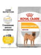 Royal Canin Medium Dermacomfort корм для средних собак с чувствительной кожей | 6611645 | фото 2
