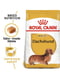 Royal Canin Dachshund Adult сухий корм для собак породи такса від 10 місяців | 6611651 | фото 2